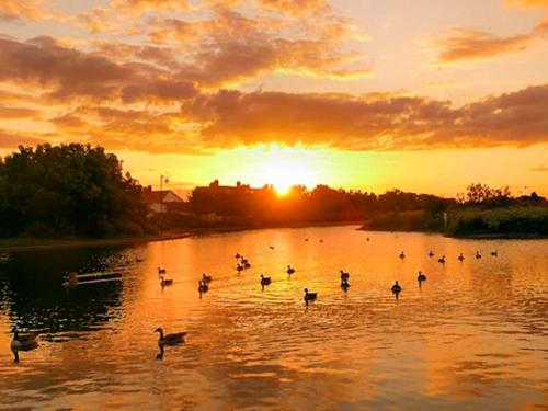 a group of ducks swimming in a lake at sunset at Fisherman's Cottage - The Ultimate Romantic Lakeside Cottage just a few steps from the Beach! Relax with a glass of wine & Snuggle up to the Cosy Log Burner at the BEST Location in Mablethorpe! It's Pet Friendly too! in Mablethorpe