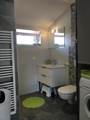 une salle de bain avec un lavabo, des toilettes et un miroir dans l'établissement Agrita Home, à Wittisheim