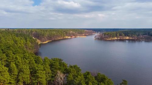 an aerial view of a large lake with trees at Przytulisko na Mazurach in Ruciane-Nida