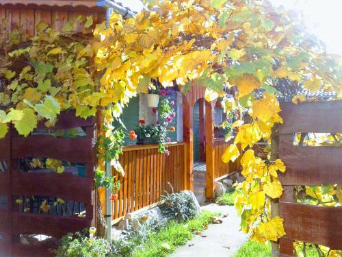 a wooden fence with a tree with yellow leaves at Relax Nyaralóudvar in Szilvásvárad