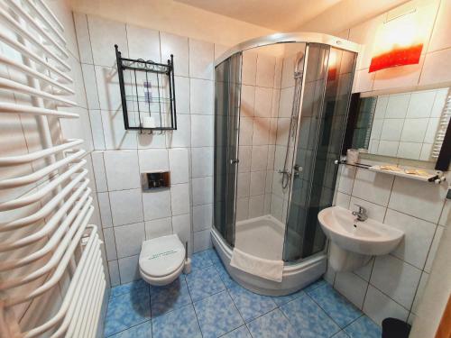 a bathroom with a shower and a toilet and a sink at Hotel Zamkowy Młyn in Krapkowice