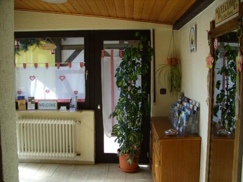 a room with a door with two potted plants in it at Pension Williams in Seebach