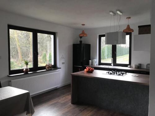 cocina con 2 ventanas y encimera con fregadero en Happiness Country Retreat, en Bubel