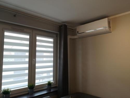 a room with two windows with plants in them at Stare Miasto in Głogów