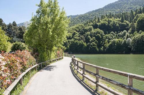 a path next to a lake next to a fence at Hotel Carlone in Breguzzo