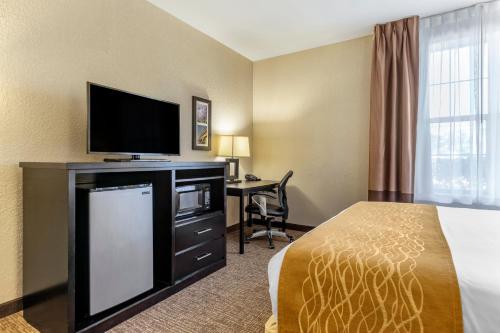 TV a/nebo společenská místnost v ubytování Comfort Inn & Suites Allen Park - Dearborn