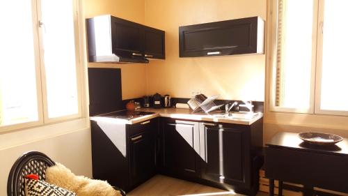 a small kitchen with black cabinets and a sink at By Gwen - le Jaurès in Arles