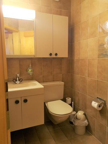 a bathroom with a toilet and a sink and a mirror at Arosa Brueggli B02 in Arosa