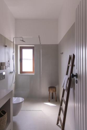 a bathroom with a ladder and a toilet in it at Quinta do Freixo in Benafim