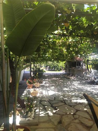 Fotografie z fotogalerie ubytování Villa Valeria Thassos v destinaci Limenas