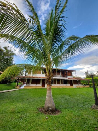 a palm tree in front of a building at Casa Campestre Sol Y Luna in Quimbaya