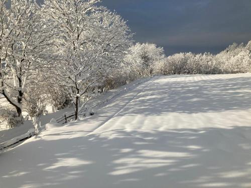 a snow covered road with trees in the distance at Apartments Karlhof in Innsbruck