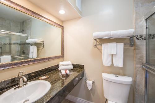 a bathroom with a sink and a toilet and a mirror at The Creekside Inn in Palo Alto