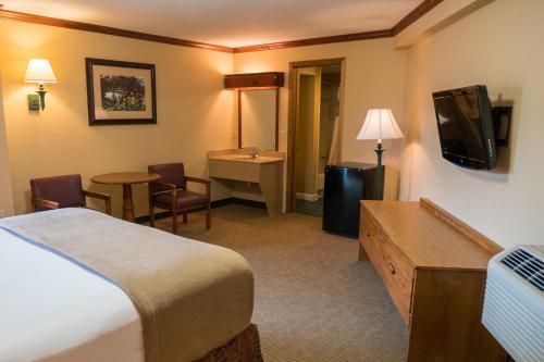 Habitación de hotel con cama y TV en Wild Bear Inn, en Pigeon Forge