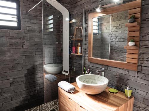 a bathroom with a sink and a mirror at kokopoirier in Terre-de-Haut