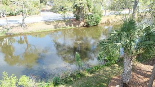 a body of water with a palm tree next to it at Elegant 3 BR 3 BA Wild Dunes Gated Resort Villa with 2 Golf Courses, Beach and Pool in Isle of Palms