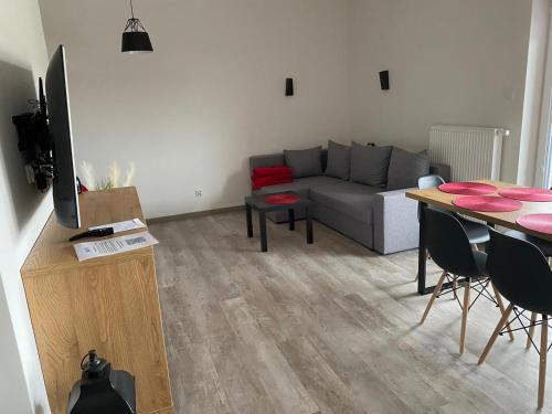 Μια τηλεόραση ή/και κέντρο ψυχαγωγίας στο Apartament RUBINOWY Pięć Mórz - Sianożęty