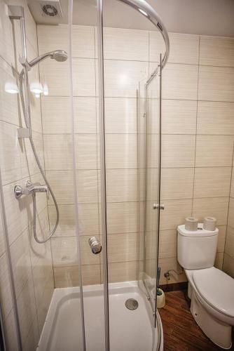 a bathroom with a shower and a toilet at Guest House "Arkhistratyg" in Lviv