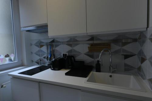 Kuchyň nebo kuchyňský kout v ubytování Apartment Penkala