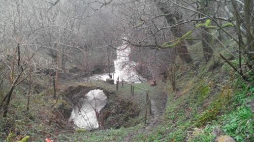 a bridge over a river in a forest at Posada La Vieja Escuela in San Roque de Ríomiera