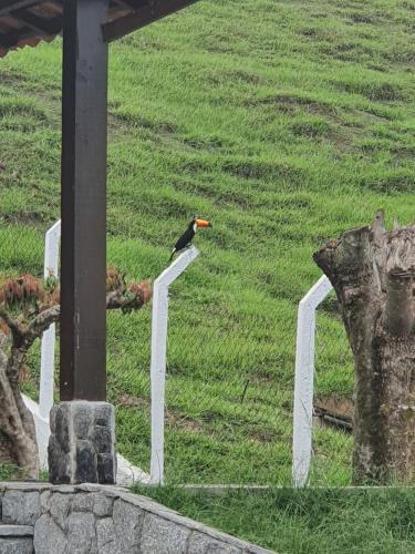 Taman di luar Pousada Recanto da Lunane