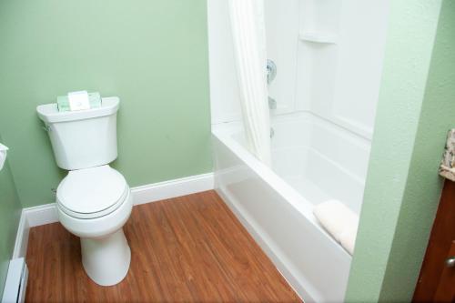 a bathroom with a toilet and a bath tub at InnSeason Resorts HarborWalk in Falmouth