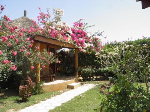 a garden with pink flowers and a house at Le Dakan in Saly Portudal