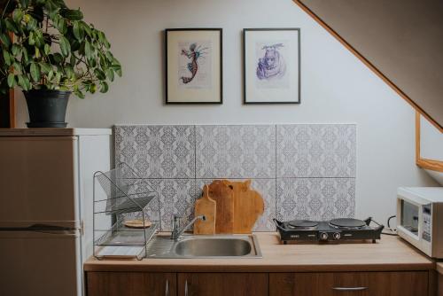 W kuchni znajduje się umywalka i kuchenka mikrofalowa. w obiekcie Dom Gościnny Sowia Stópka w mieście Miłomłyn