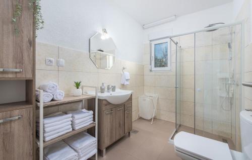 a bathroom with a sink toilet and a shower at Villa Pendolina with Private Pool in Buje