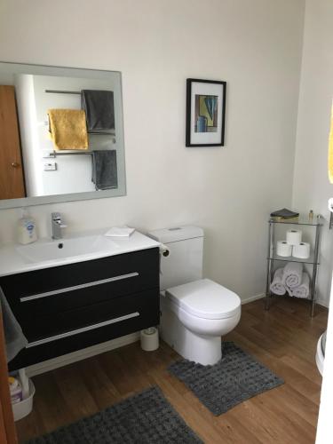 ニュープリマスにあるFitzroy Gemのバスルーム(トイレ、洗面台、鏡付)