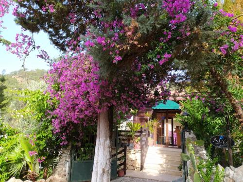 a bougainvillea tree in front of a house at Alya Hotel Göcek in Göcek