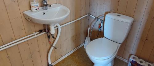 łazienka z toaletą i umywalką w obiekcie Kaussjärve puhkemaja w mieście Rouge