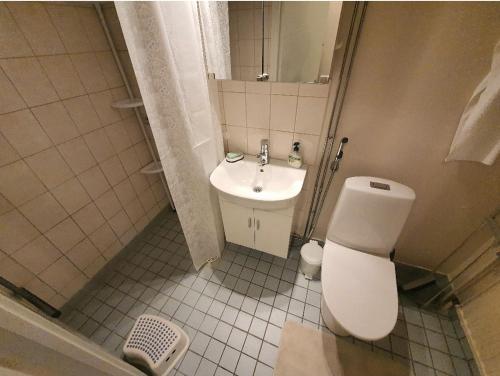 a bathroom with a toilet and a sink at Homely Apartment MILA in Kotka