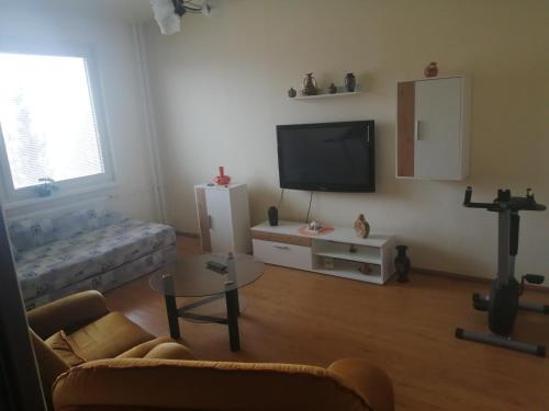 ein Wohnzimmer mit einem Sofa und einem Flachbild-TV in der Unterkunft Byt vo Fiľakove in Fiľakovo