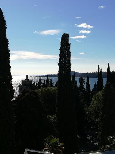 a view of the water and a tree at Residence Villa Alba room nr 415 in Gardone Riviera