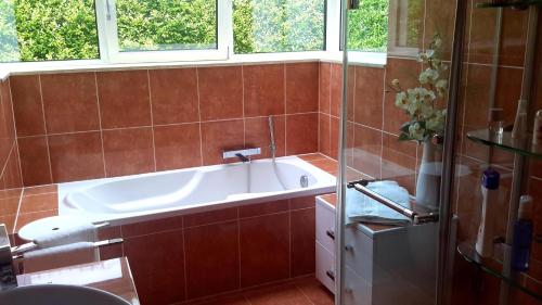 a bathroom with a bath tub and a window at B&B prince d’Orange Waterloo in Waterloo