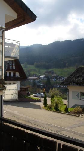 a view from the balcony of a house at Pension Williams in Seebach