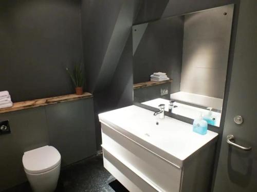 een badkamer met een wastafel, een toilet en een spiegel bij the icecream factory, room in private house in York