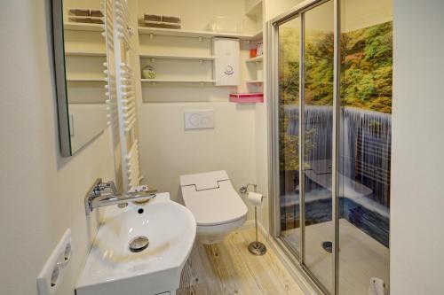 uma casa de banho com um chuveiro, um WC e um lavatório. em fewo1846 - FlensView - komfortables Studioapartment mit Balkon und Hafenblick em Flensburg