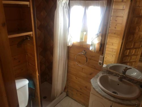a bathroom with a sink and a toilet and a window at Bungalós Las Nieves in Puebla de Lillo