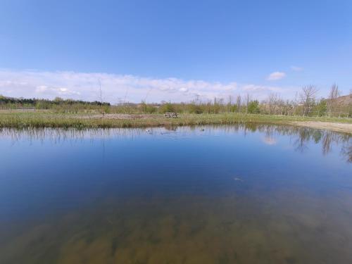 a large body of water with trees and grass at Antonius Hoeve in Oudenbosch