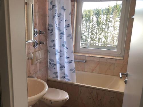 a bathroom with a toilet and a tub and a window at Haus Lucia Appartment "Schönblick" in Schonwald im Schwarzwald