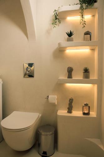 a bathroom with a toilet and shelves with plants at The Z Private Villa, Santorini in Monolithos