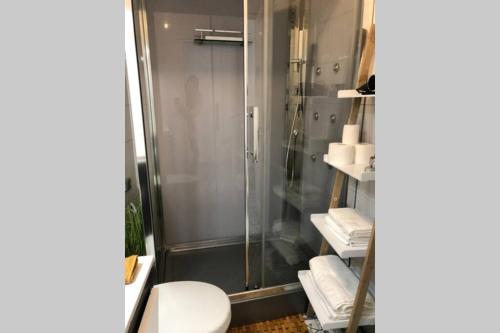 uma casa de banho com chuveiro, WC e toalhas em Le Reflet de la Lune em Saint-Jean-de-Maurienne
