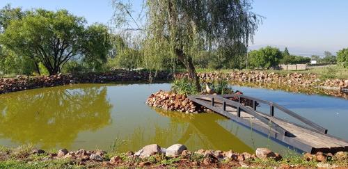 a bridge over a pond in a park at Villa Paradiso in Hartbeespoort