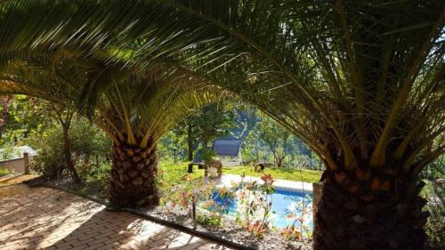 Pemandangan kolam renang di Casa Loureiro - Vista Rio Douro atau berdekatan