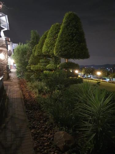 a row of bushes in a park at night at Villa Paradiso in Hartbeespoort