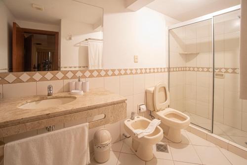 La salle de bains est pourvue de toilettes, d'un lavabo et d'une douche. dans l'établissement Andares del Agua, à Asuncion