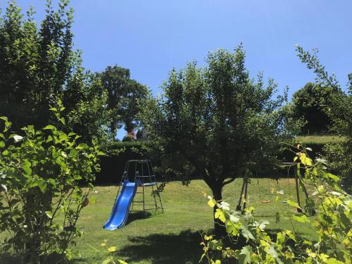 a blue slide in a yard with a tree at Le Petit Lac in Bourganeuf