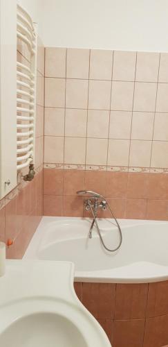 La salle de bains est pourvue d'une baignoire et de toilettes. dans l'établissement Alice Vendégház, à Kalocsa